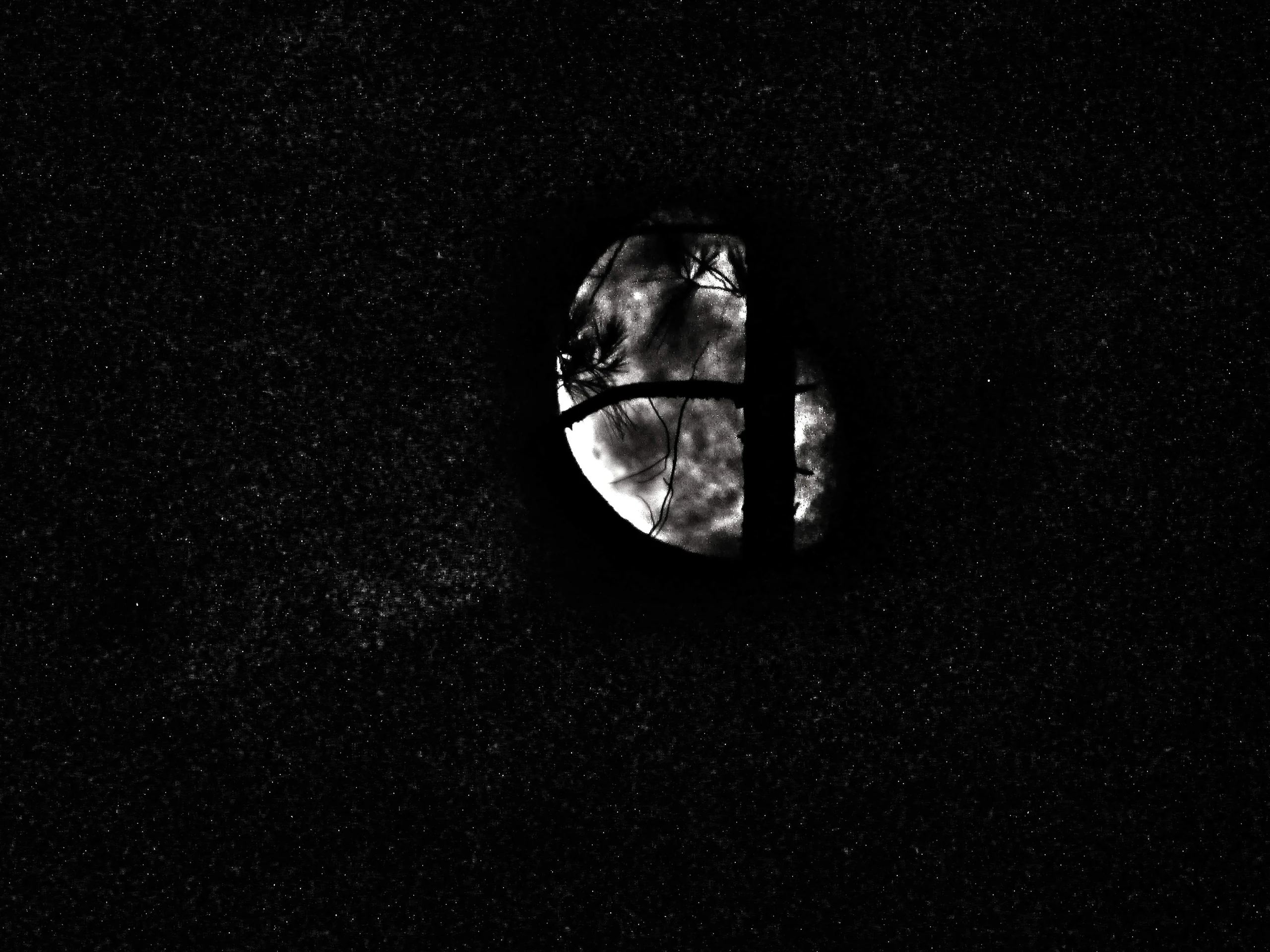 Ay